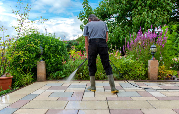 Best Fence Cleaning  in Rural Hill, TN